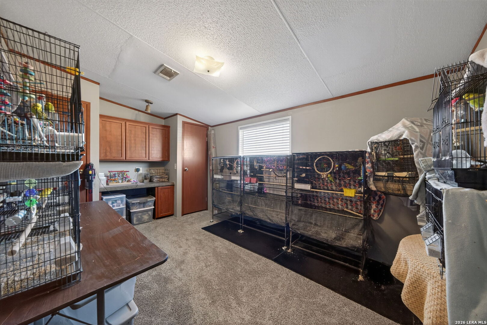 225 Quail Run Lytle, TX 78052 - Photo 20 of 36