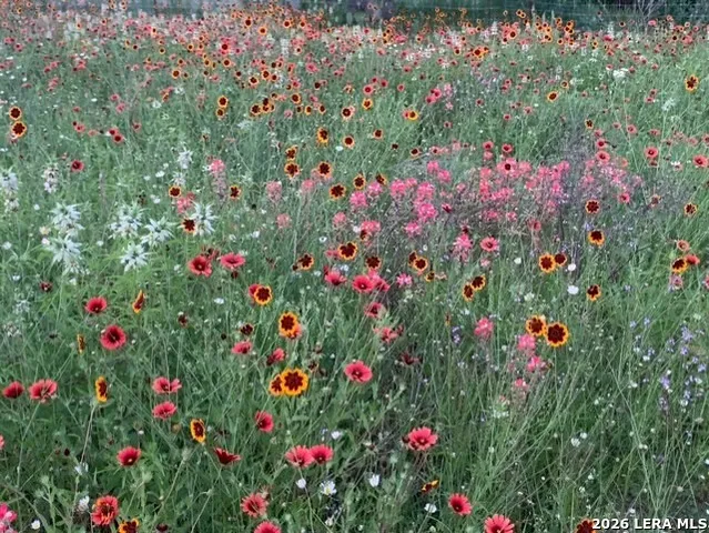 $350,000 | 225 Quail Run, Lytle, TX 78052