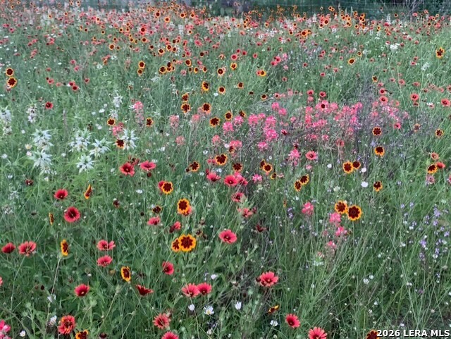 225 Quail Run Lytle, TX 78052 - Photo 32 of 36