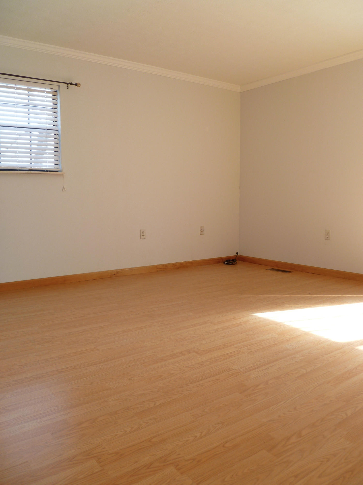 462 Bland Road Clinton, TN 37716 - Photo 24 of 37 P1070308