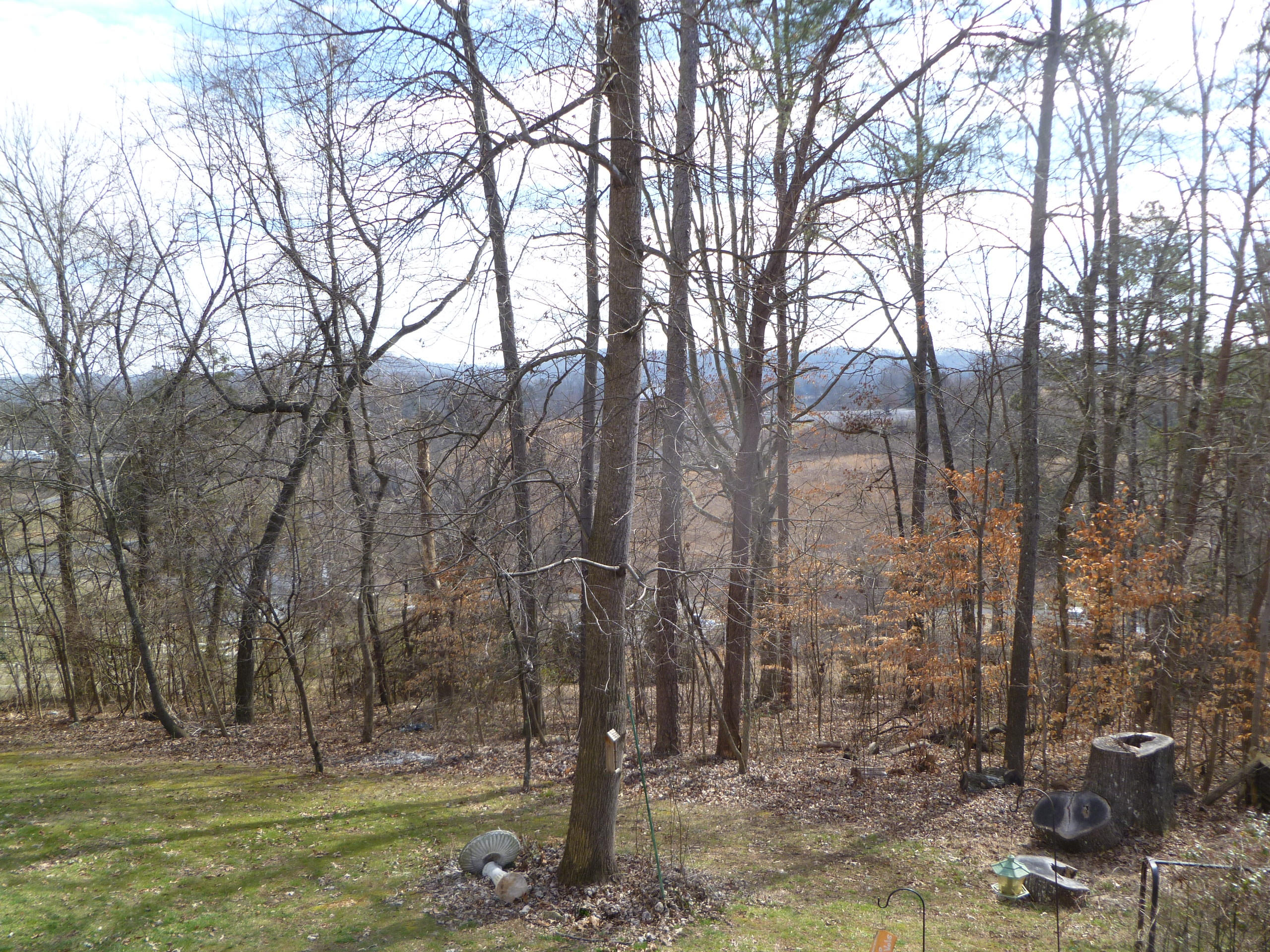 462 Bland Road Clinton, TN 37716 - Photo 8 of 37 P1070301