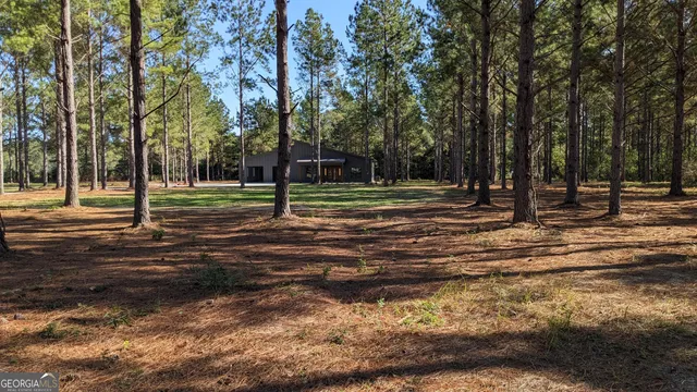 $610,000 | 723 Providence Road, Whigham, GA 39897