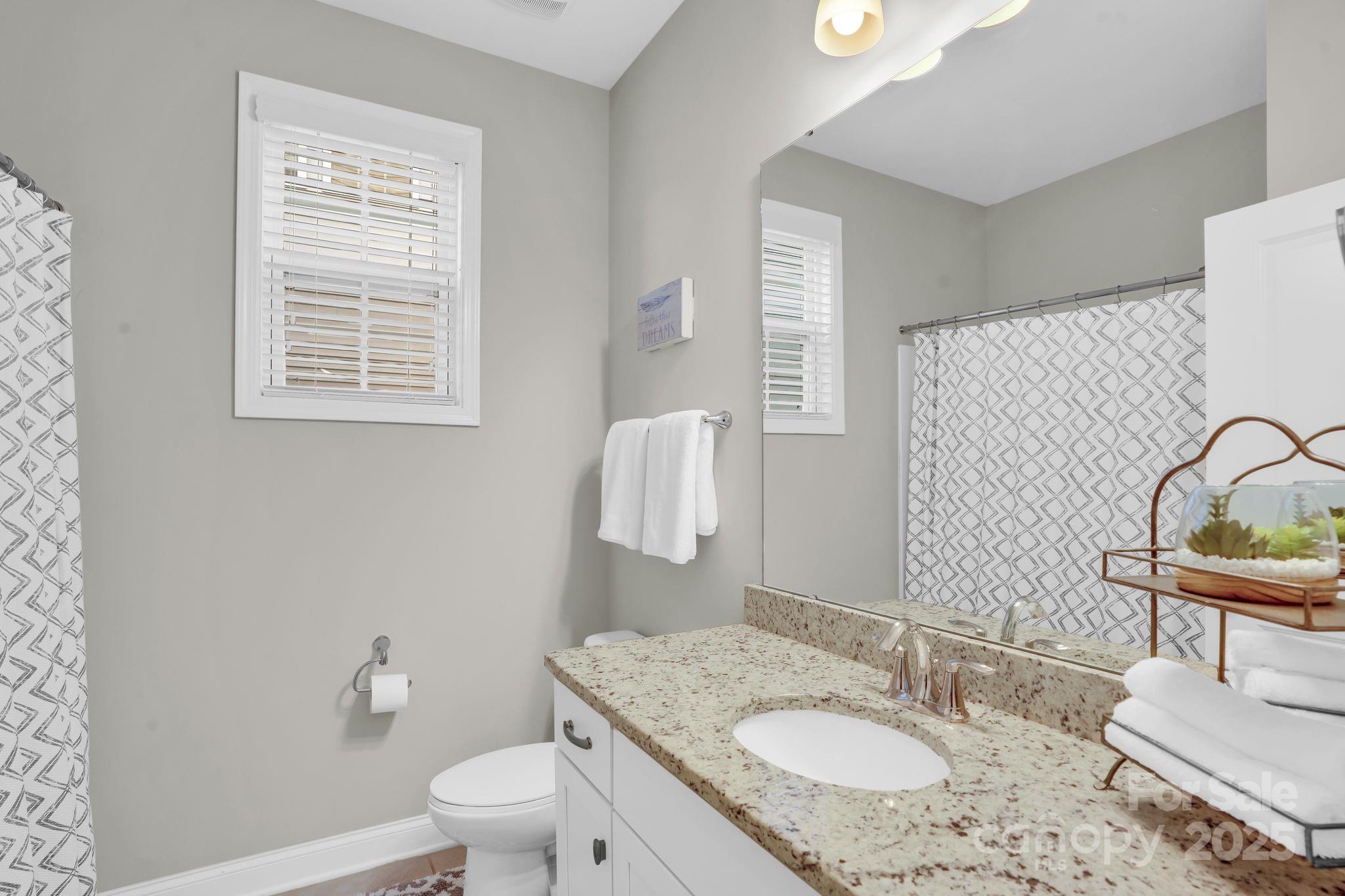 9507 Inverness Bay Road Charlotte, NC 28278 - Photo 14 of 29 a bathroom with a granite countertop sink a toilet and a mirror
