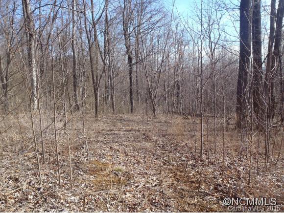 Lot #216 Cherry Hill Mill Spring Mill Spring, NC 28756 - Photo 2 of 24