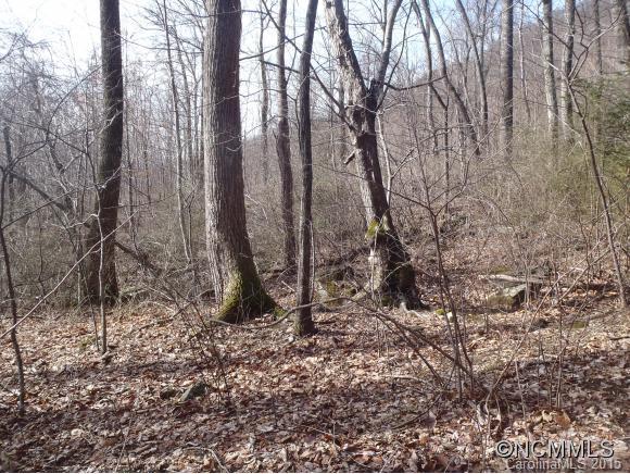 Lot #216 Cherry Hill Mill Spring Mill Spring, NC 28756 - Photo 11 of 24