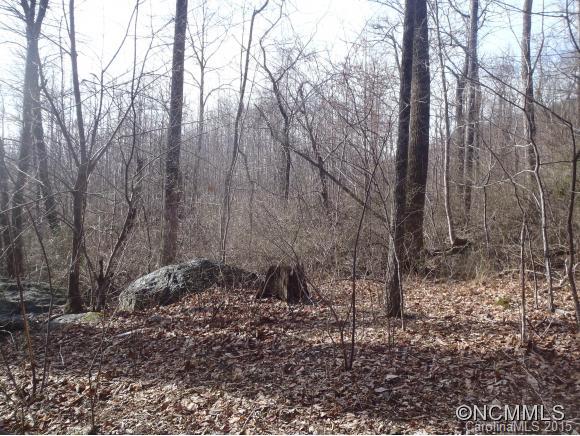 Lot #216 Cherry Hill Mill Spring Mill Spring, NC 28756 - Photo 12 of 24