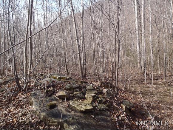 Lot #216 Cherry Hill Mill Spring Mill Spring, NC 28756 - Photo 15 of 24