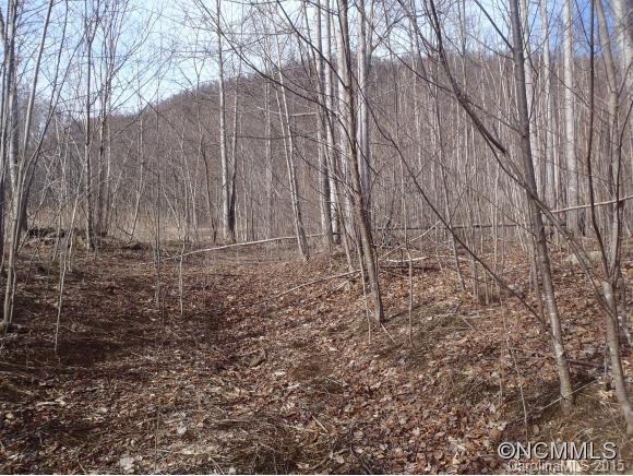 Lot #216 Cherry Hill Mill Spring Mill Spring, NC 28756 - Photo 17 of 24