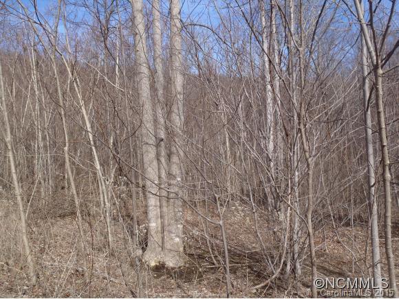 Lot #216 Cherry Hill Mill Spring Mill Spring, NC 28756 - Photo 19 of 24