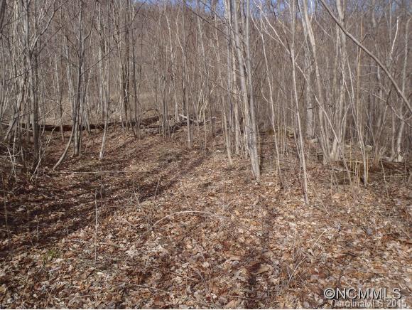 Lot #216 Cherry Hill Mill Spring Mill Spring, NC 28756 - Photo 20 of 24