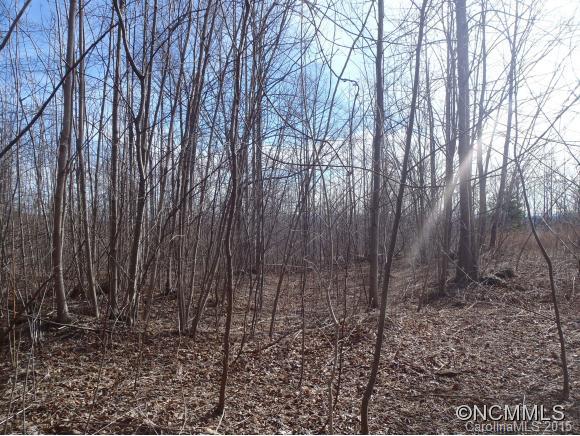 Lot #216 Cherry Hill Mill Spring Mill Spring, NC 28756 - Photo 21 of 24