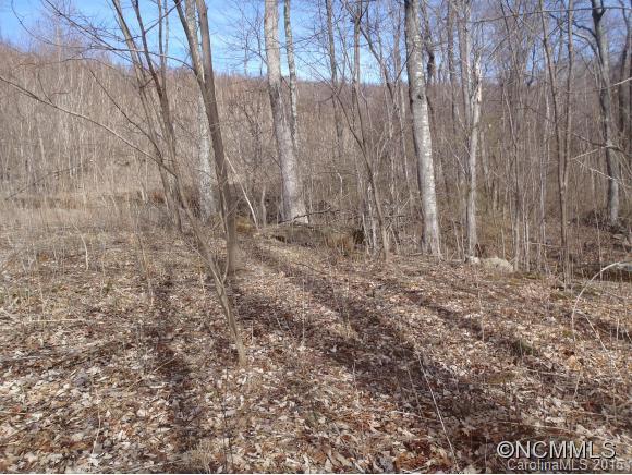 Lot #216 Cherry Hill Mill Spring Mill Spring, NC 28756 - Photo 22 of 24