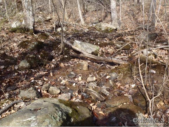 Lot #216 Cherry Hill Mill Spring Mill Spring, NC 28756 - Photo 7 of 24