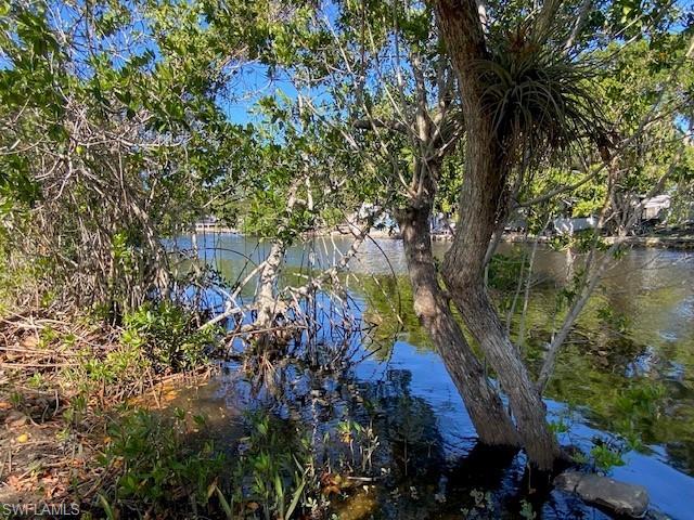 222 Riverwood Road Naples, FL 34114 - Photo 22 of 23 a backyard of a house with lots of green space and fountain