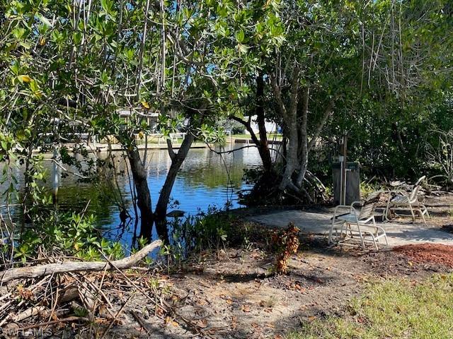 222 Riverwood Road Naples, FL 34114 - Photo 23 of 23 a view of backyard with large trees and plants