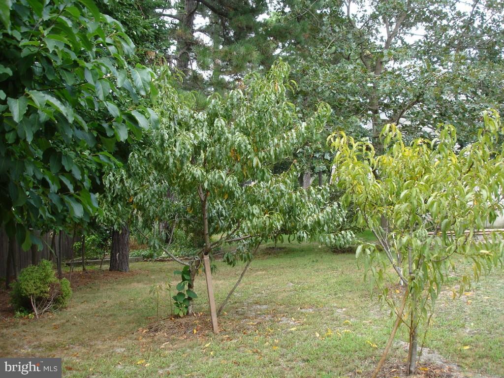 396 Yeoman Road Manahawkin, NJ 08050 - Photo 23 of 34 Gallery Image 23