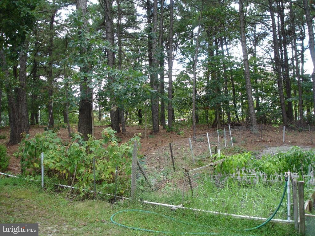 396 Yeoman Road Manahawkin, NJ 08050 - Photo 24 of 34 Gallery Image 24