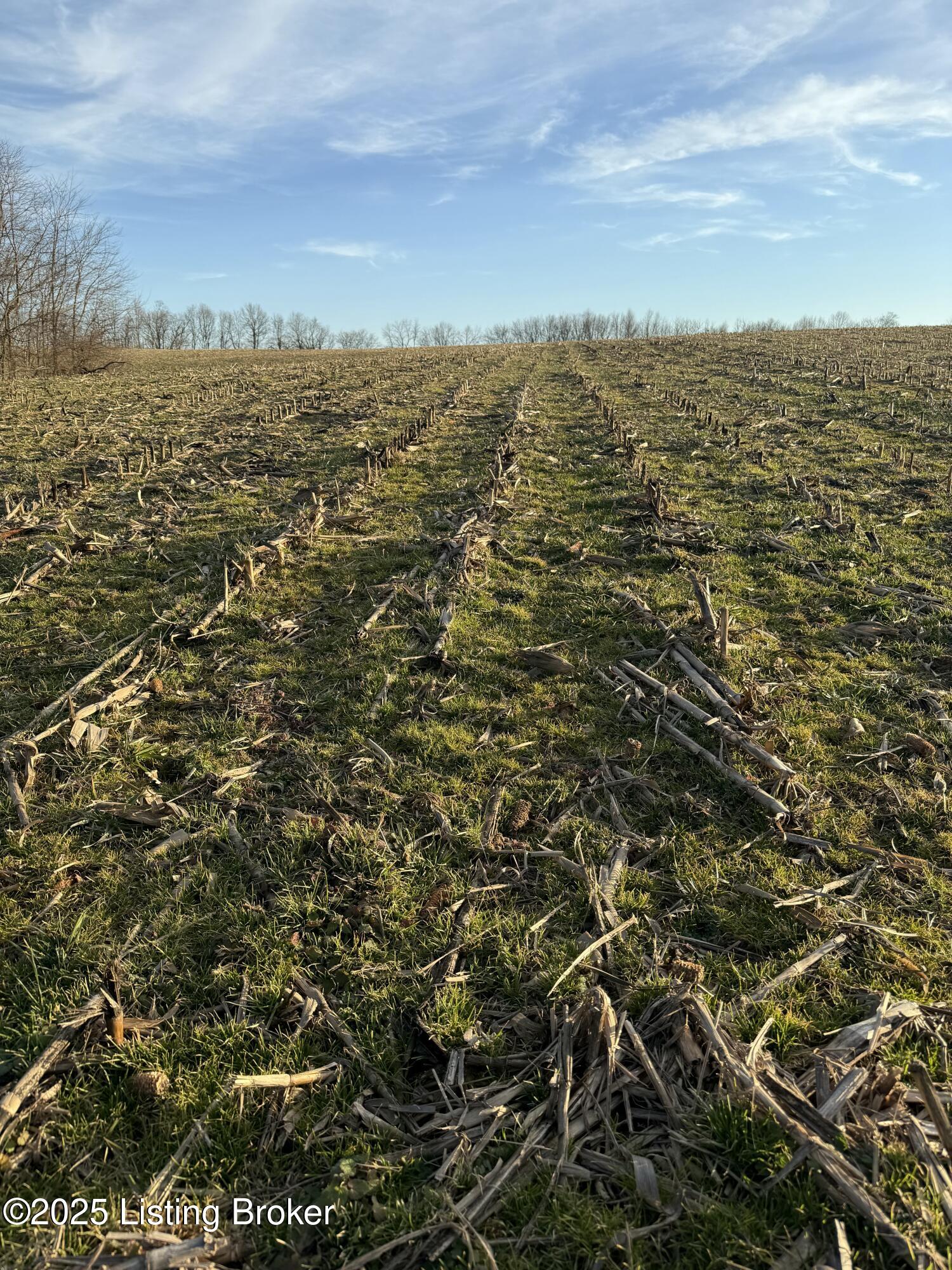 0 Lawrenceburg Road Bloomfield, KY 40008 - Photo 7 of 10 tempImagegCTeHY