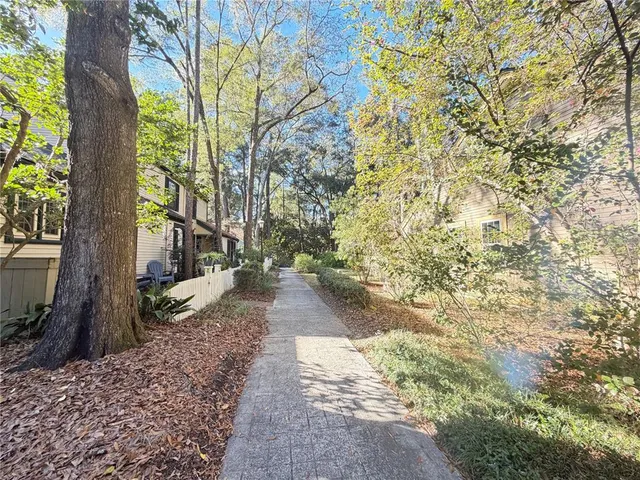 a view of a yard with plants and trees