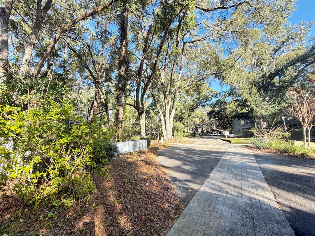 5216 Southwest 92nd Court Gainesville, FL 32608 - Photo 6 of 32 a view of a yard with plants and trees