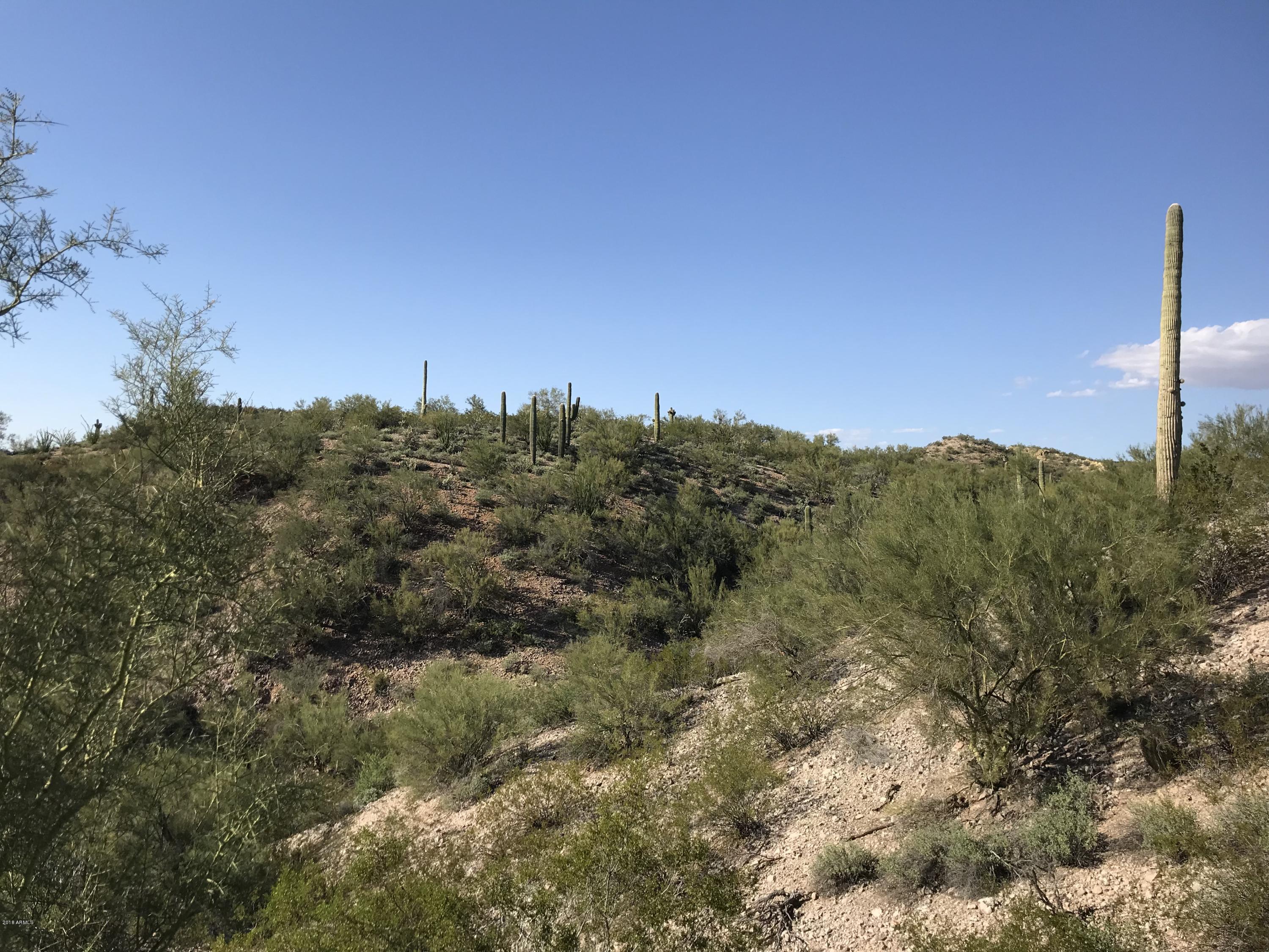 0 North Mockingbird Road Wickenburg, AZ 85390 - Photo 2 of 6 a view of a city with lush green forest
