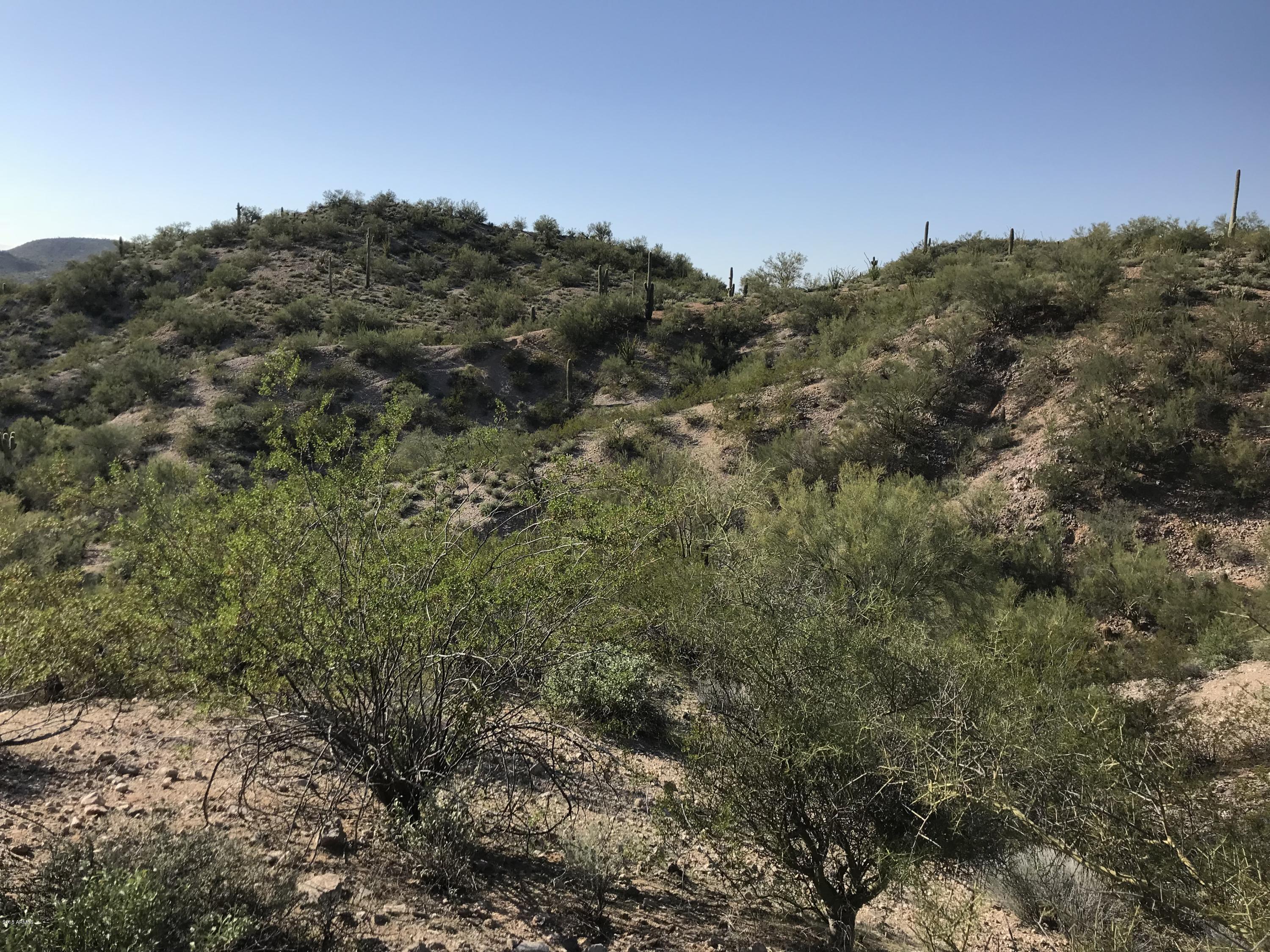 0 North Mockingbird Road Wickenburg, AZ 85390 - Photo 3 of 6 a view of a forest with a tree in the background