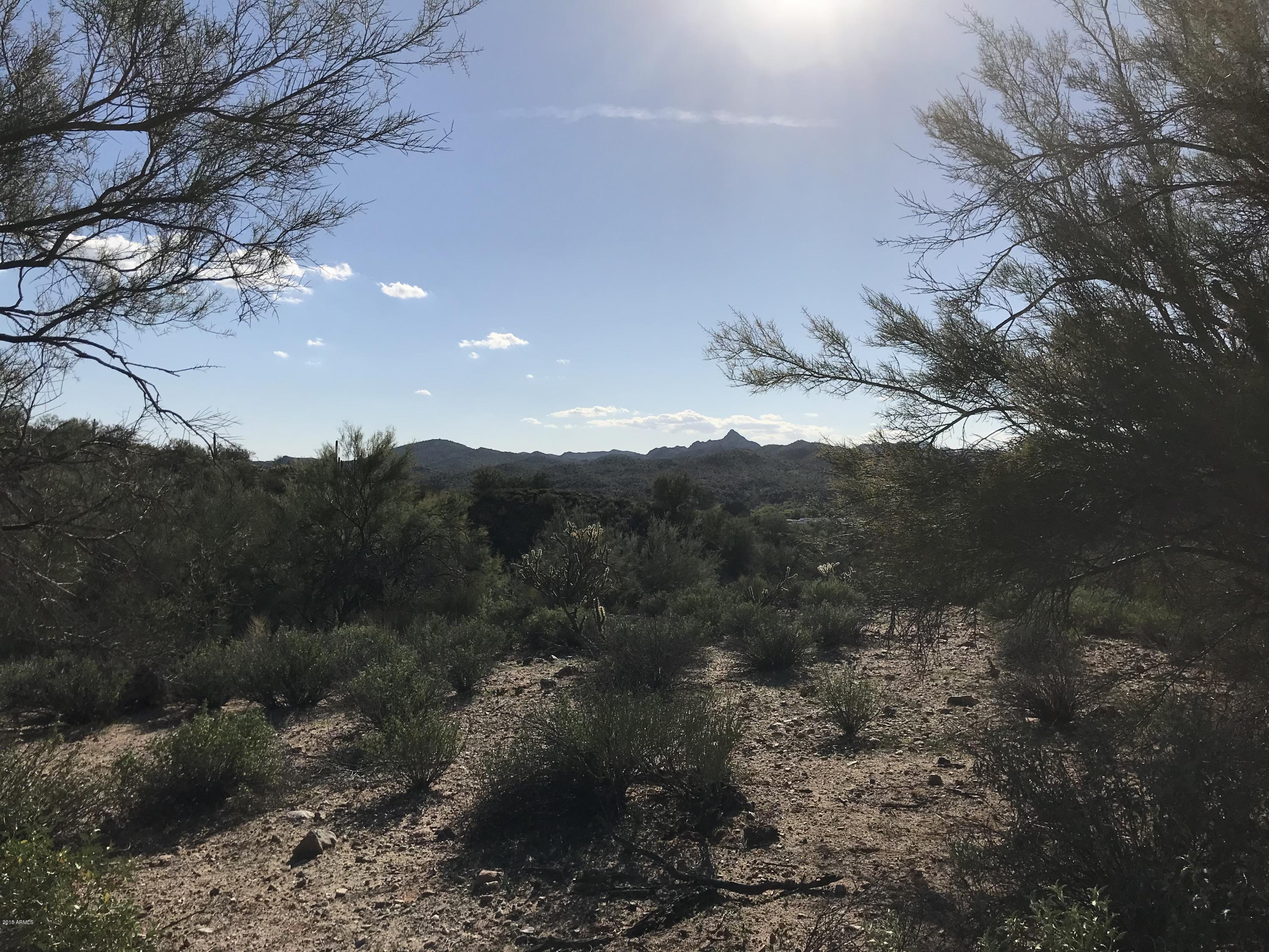 0 North Mockingbird Road Wickenburg, AZ 85390 - Photo 4 of 6 a view of a forest with a tree