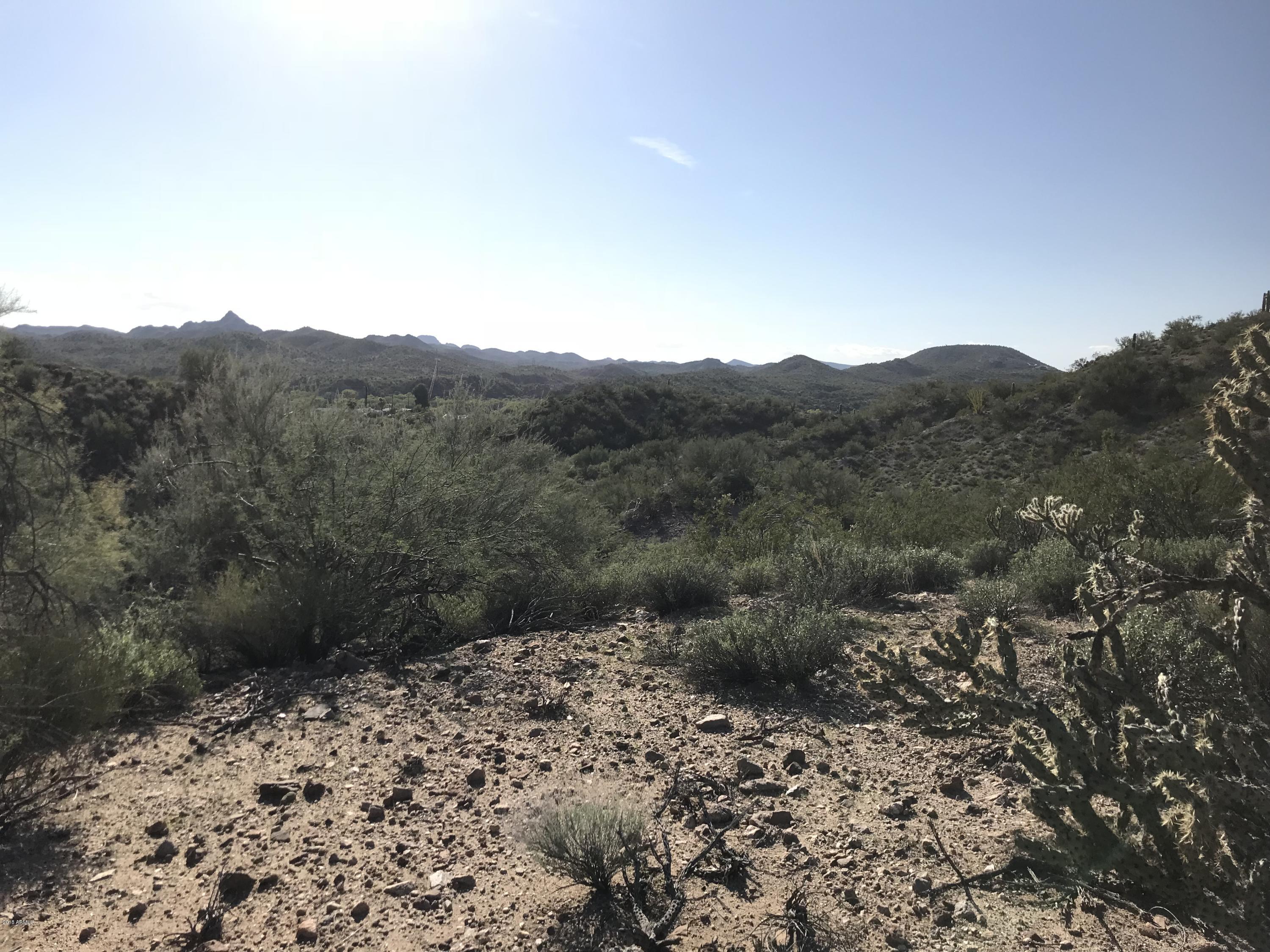 0 North Mockingbird Road Wickenburg, AZ 85390 - Photo 5 of 6 a view of a yard with a tree