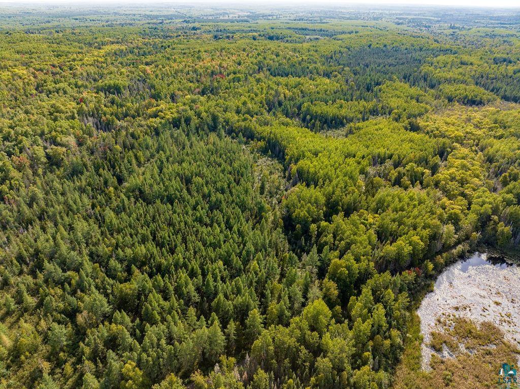 Tbd Blomquist Road Duluth, MN 55803 - Photo 8 of 22