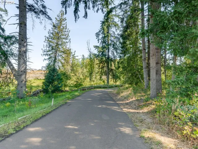 a view of road with large trees