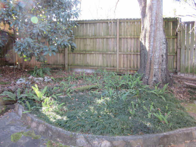 952 Schaub Avenue Mobile, AL 36609 - Photo 19 of 20 Back Yard