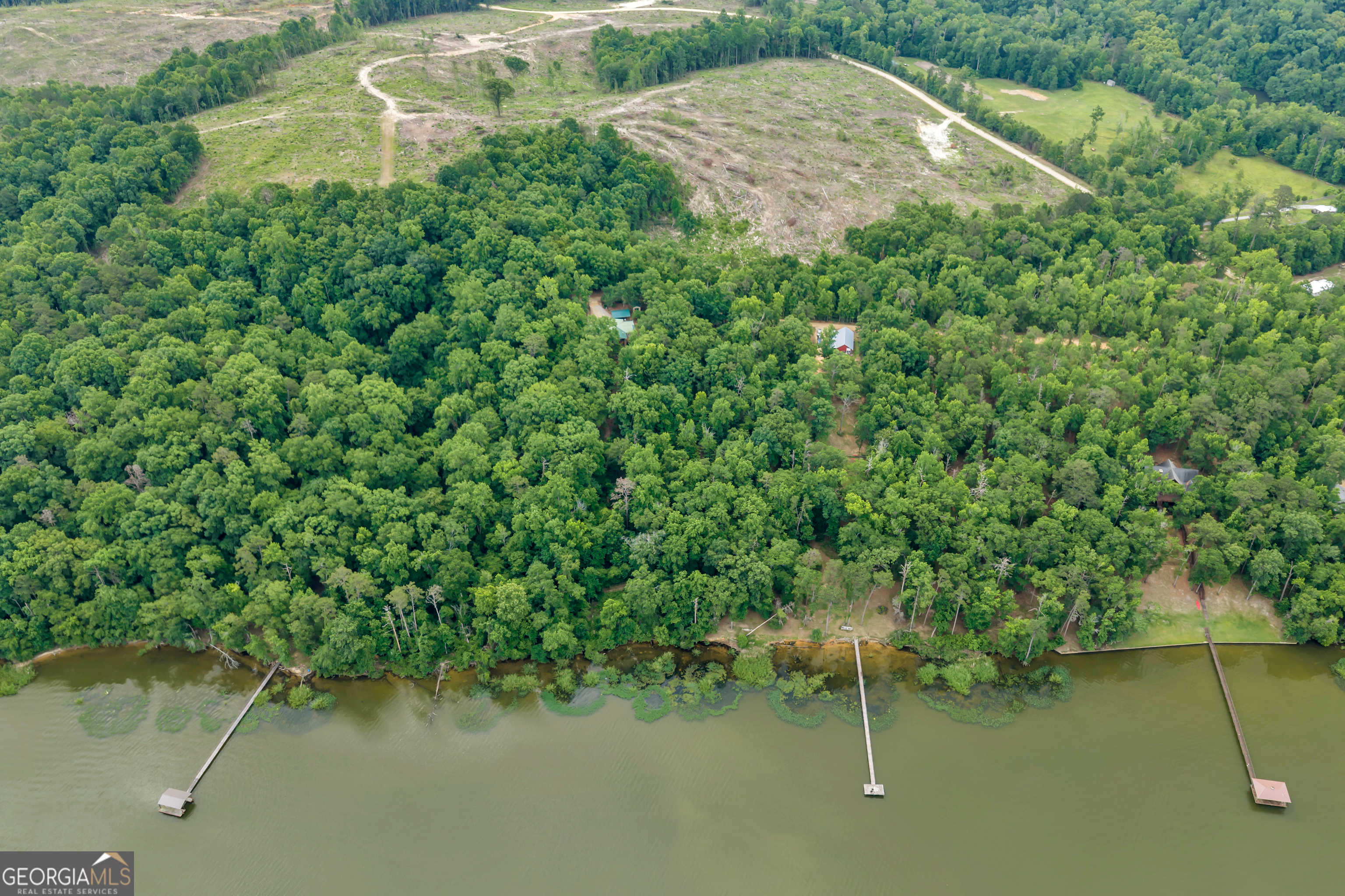 473 Vining Branch Road Georgetown, GA 39854 - Photo 24 of 43 an aerial view of a house with a yard