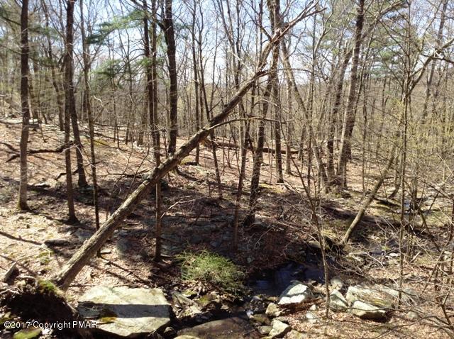 182 Edinburgh Road Bushkill, PA 18324 - Photo 5 of 41 stream