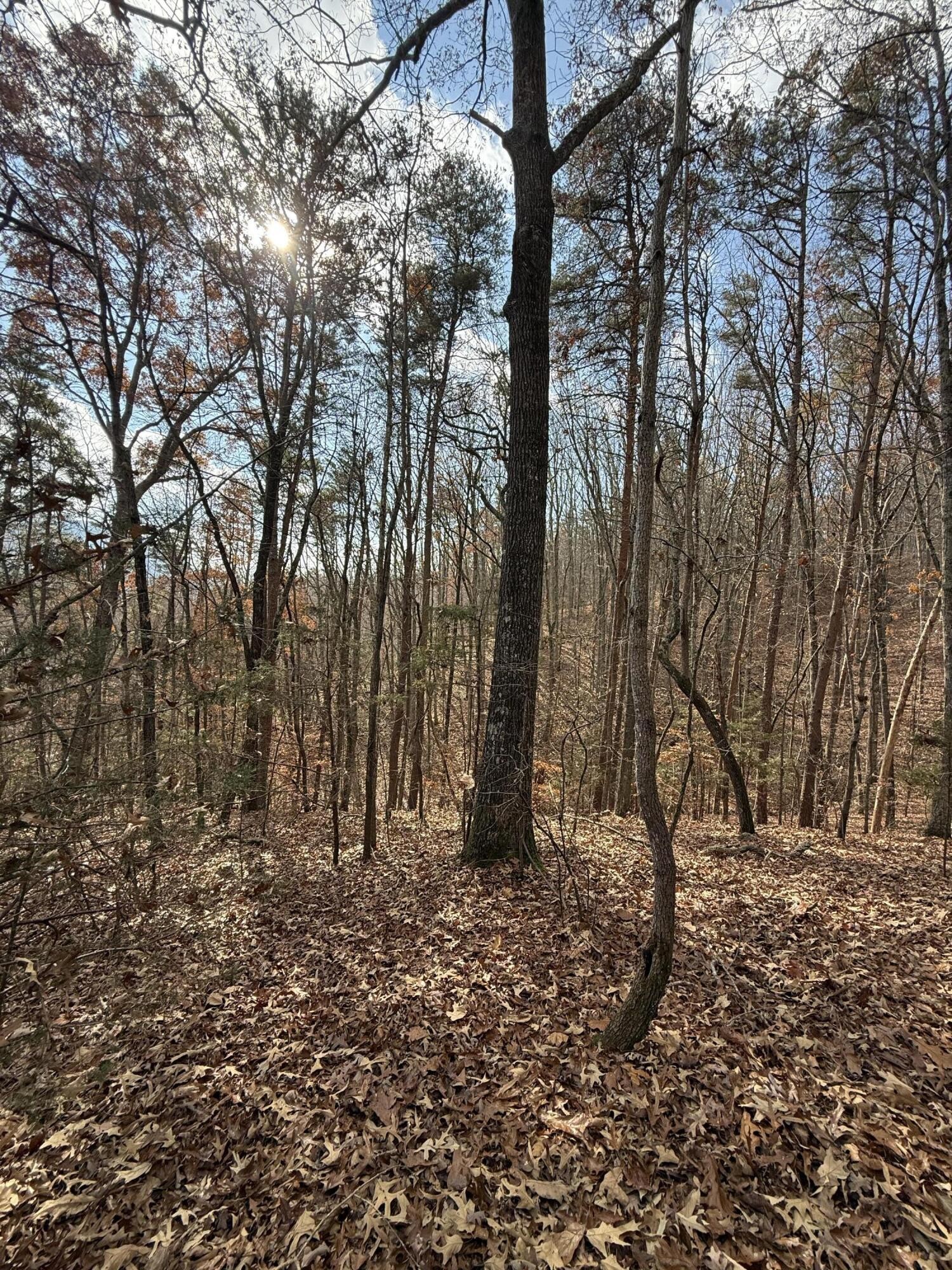 1 Parksville Road Benton, TN 37307 - Photo 12 of 16