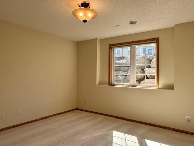 1775 Patriot Road Northfield, MN 55057 - Photo 30 of 37