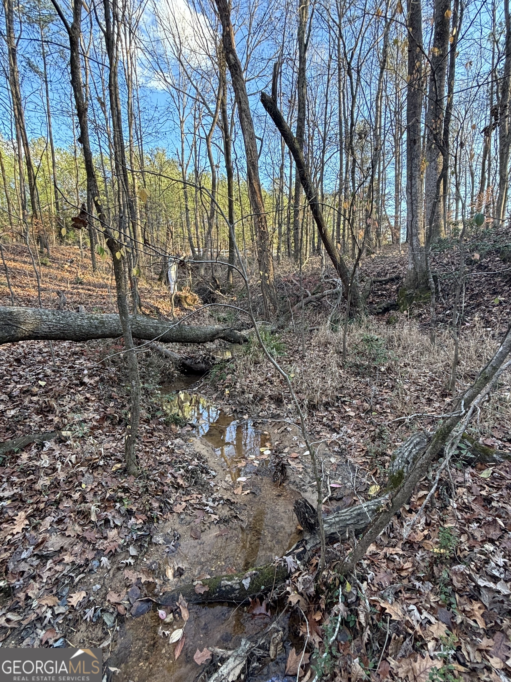 0 Lower River Road Covington, GA 30016 - Photo 4 of 7