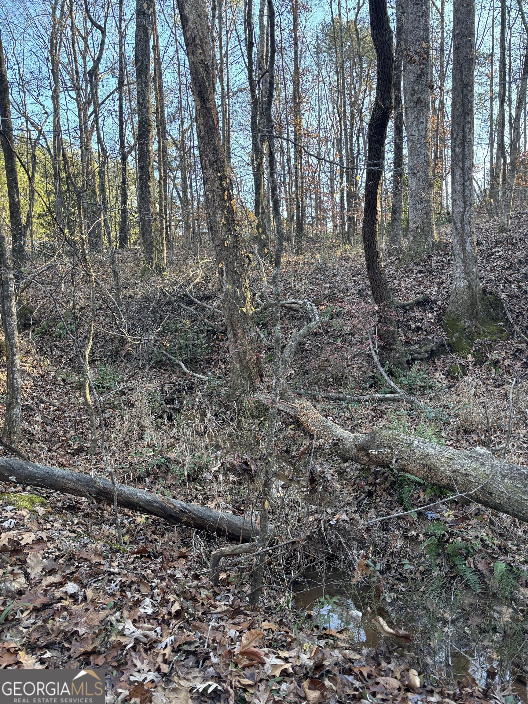 0 Lower River Road Covington, GA 30016 - Photo 5 of 7