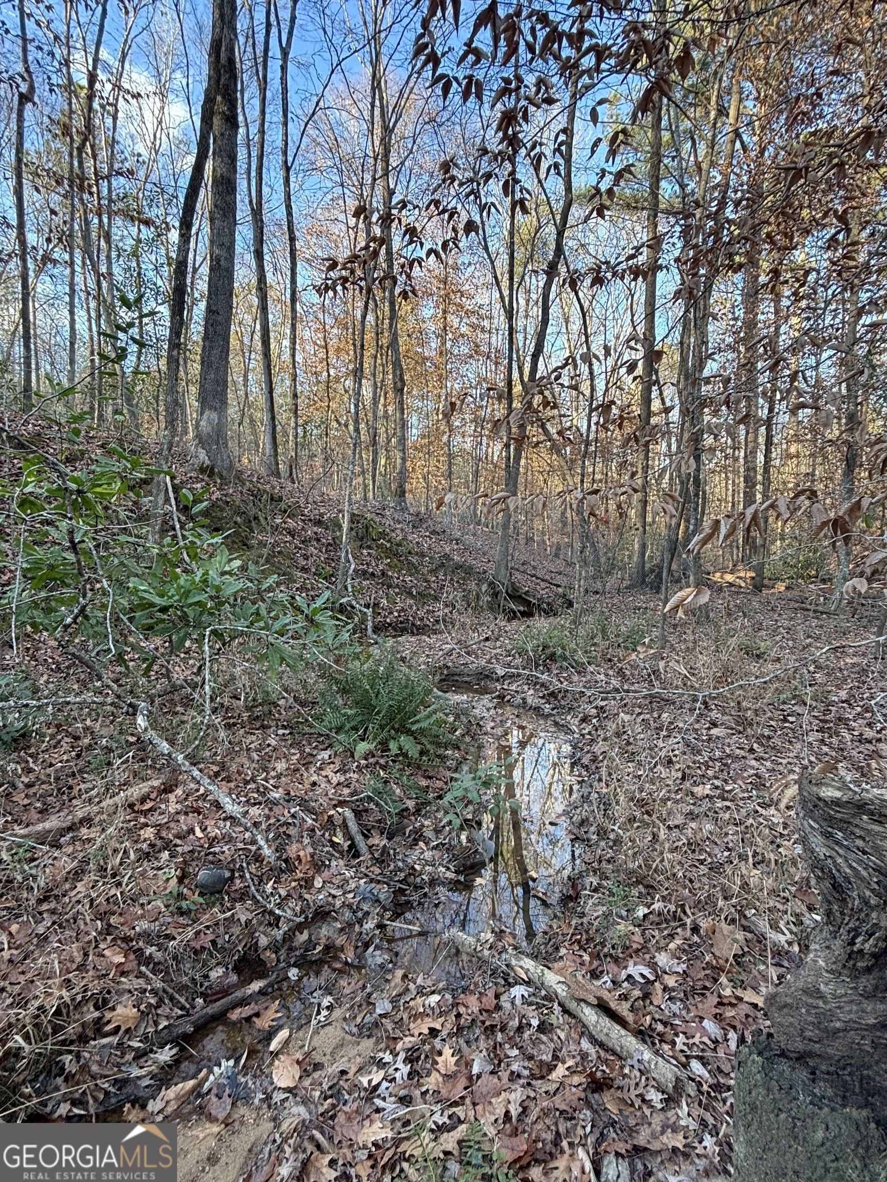 0 Lower River Road Covington, GA 30016 - Photo 6 of 7