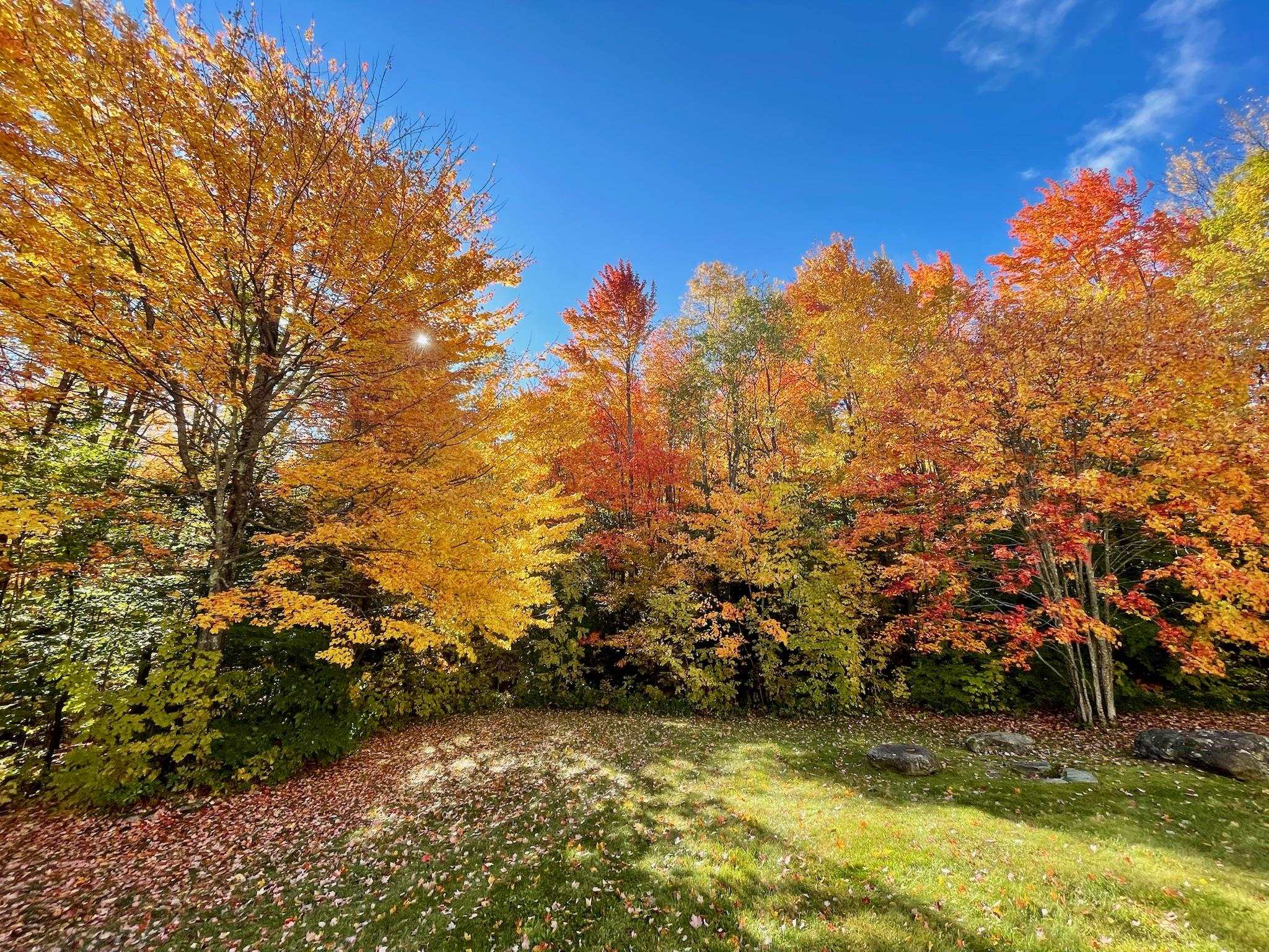 1799 German Flats Road Fayston, VT 05673 - Photo 42 of 45 Gallery Image 42