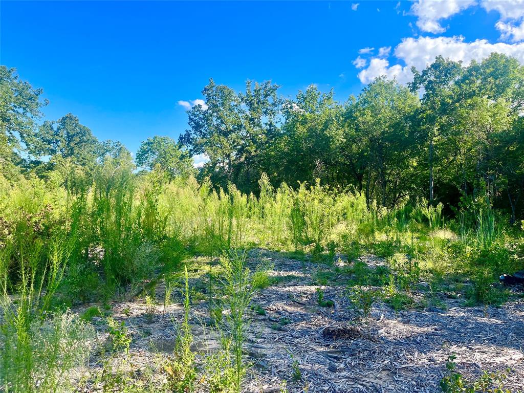 1051 Rose Court Nemo, TX 76070 - Photo 12 of 39 a view of a garden with plants