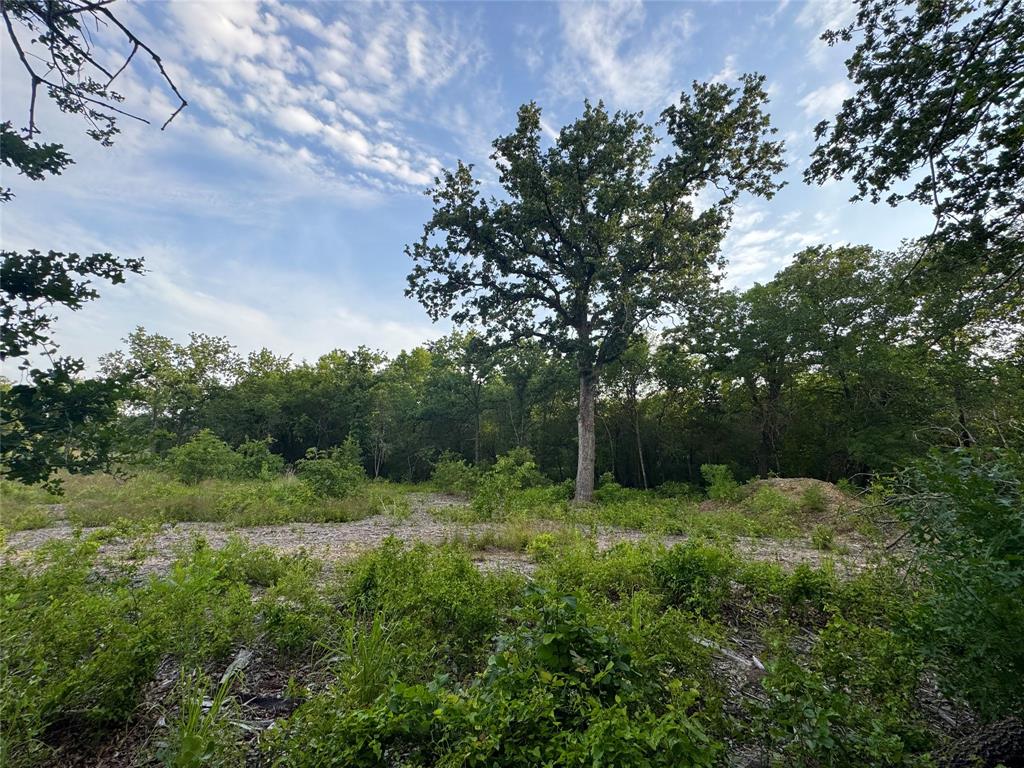 1051 Rose Court Nemo, TX 76070 - Photo 13 of 39 a view of outdoor space and yard