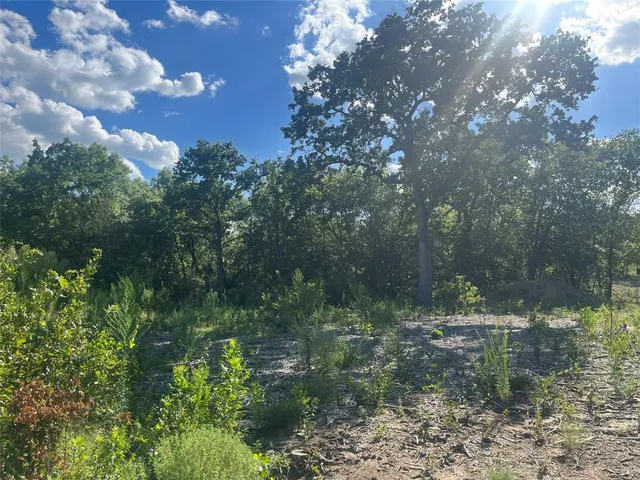 $139,000 | 1051 Rose Court, Nemo, TX 76070