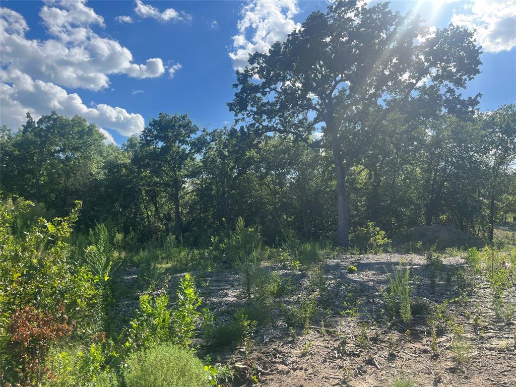 1051 Rose Court Nemo, TX 76070 - Photo 14 of 39 a view of a lake with houses