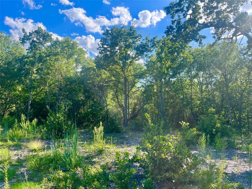 1051 Rose Court Nemo, TX 76070 - Photo 15 of 39 a view of a lake with a house in back