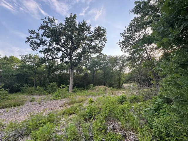 $139,000 | 1051 Rose Court, Nemo, TX 76070