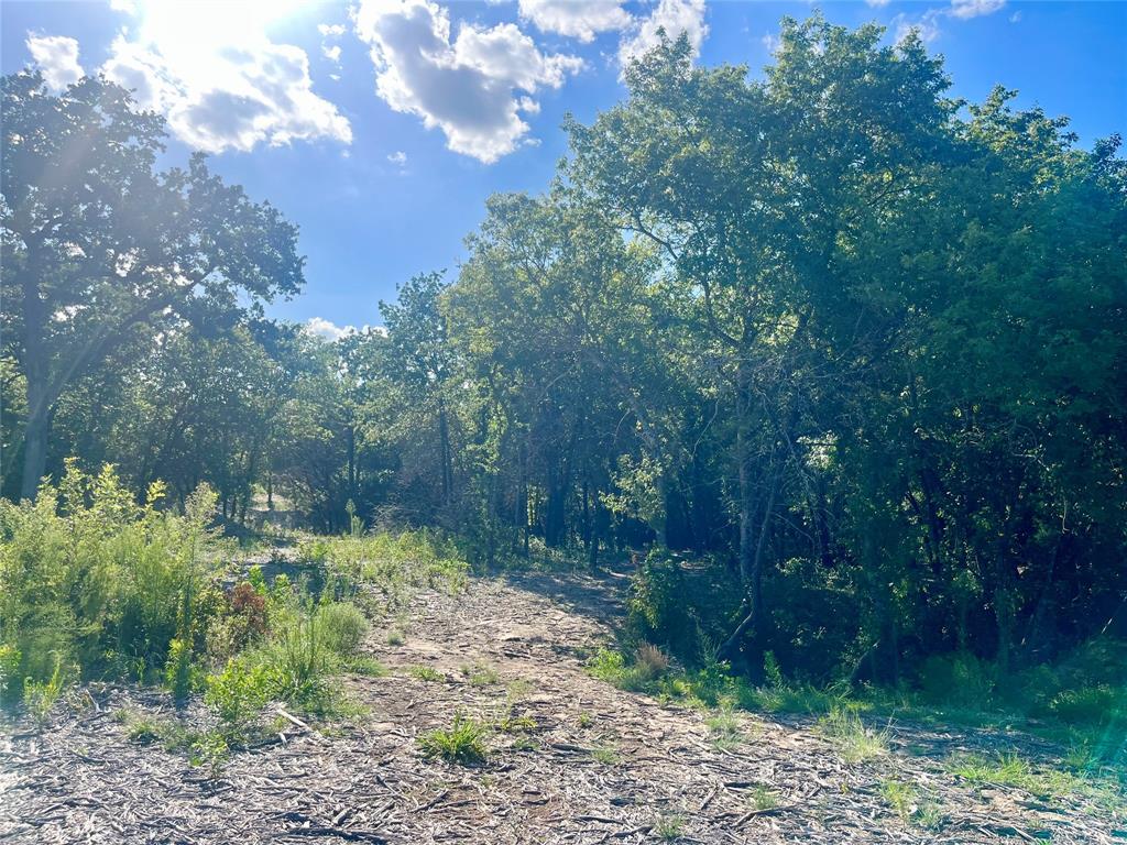 1051 Rose Court Nemo, TX 76070 - Photo 16 of 39 a backyard of a house with lots of green space