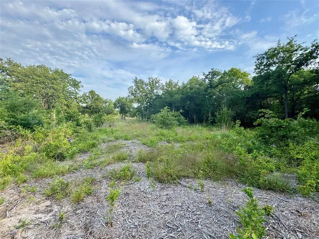 $139,000 | 1051 Rose Court, Nemo, TX 76070