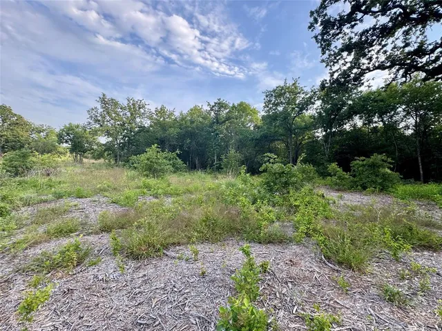 $139,000 | 1051 Rose Court, Nemo, TX 76070