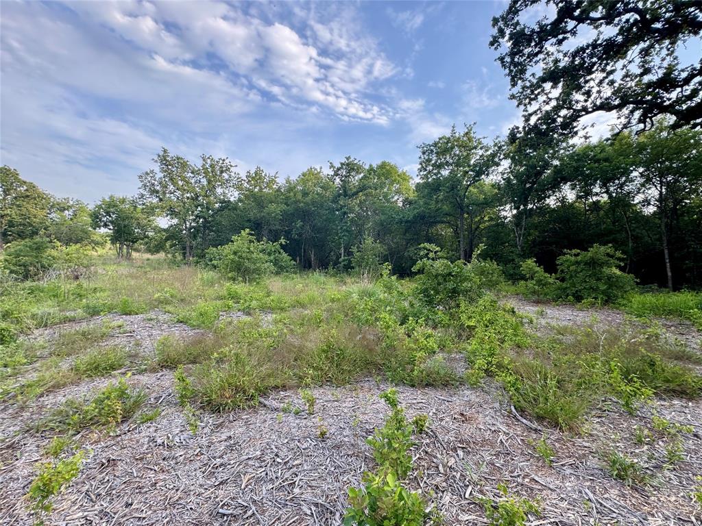 1051 Rose Court Nemo, TX 76070 - Photo 19 of 39 a view of a yard with a tree