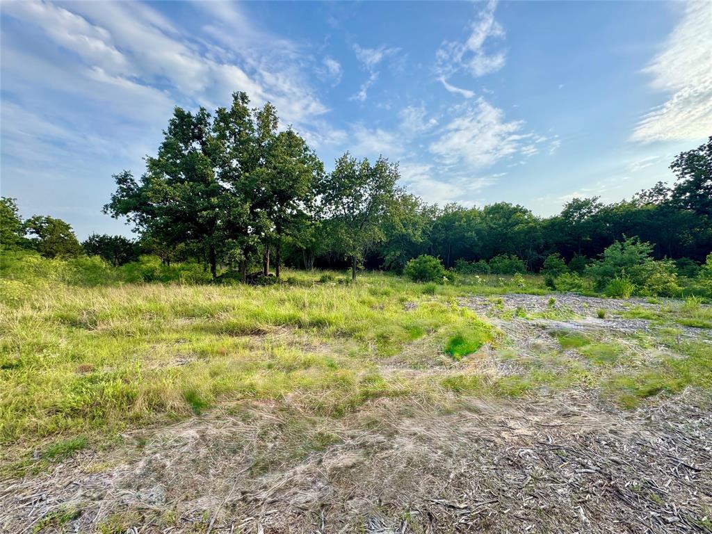 1051 Rose Court Nemo, TX 76070 - Photo 20 of 39 a view of a garden with a building in the background